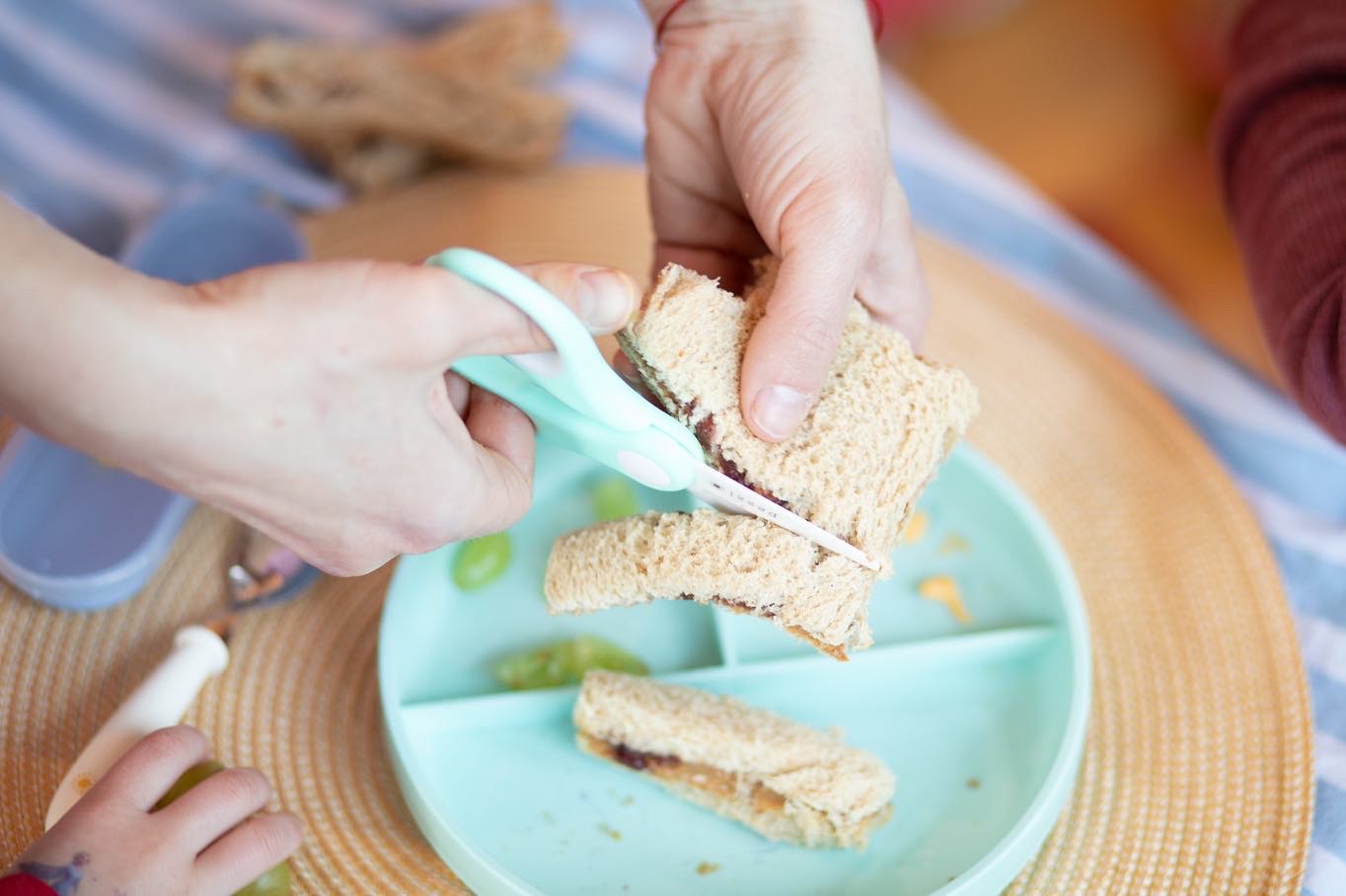Ceramic Food-Scissor with Case